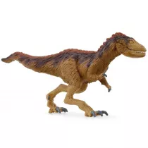 Moros intrepidus