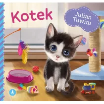 Kotek