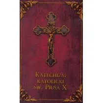 Katechizm katolicki sw. Piusa X