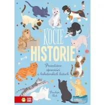 Kocie historie