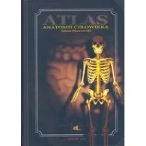 Atlas anatomii cz�owieka