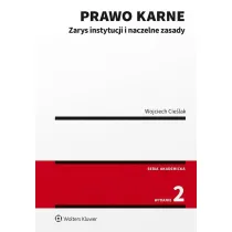 Prawo karne. Zarys instytucji