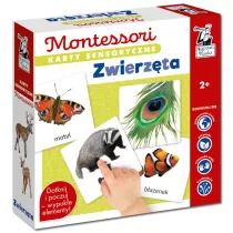Zwierzta. Montessori. Karty sensoryczne. Kapitan Nauka
