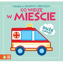 Co widz w miecie. Nauka z grubym obrysem