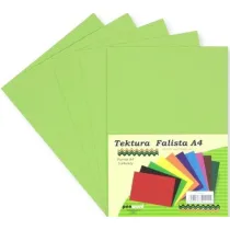 Penword Tektura A4 falista pistacjowa 5 szt.