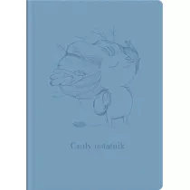 Czuy notatnik niebieski