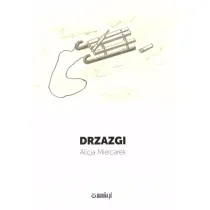 Drzazgi