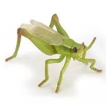 Konik polny