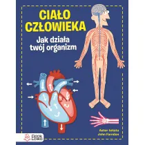 Ciao czowieka. Jak dziaa Twj organizm