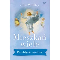 Mieszka� wiele przeb�yski niebios