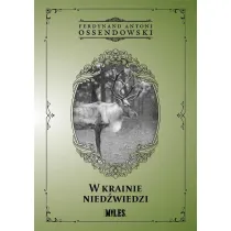 W krainie nied�wiedzi