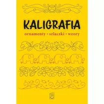 Kaligrafia. Ornamenty, szlaczki, wzory