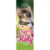 Kalendarz 2026 pocztwkowy Koty