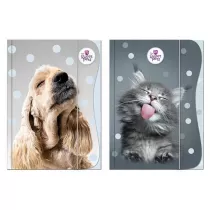 Beniamin Teczka z gumk A4 The Sweet Pets