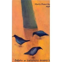 Odloty w �wiec�cy deszcz 2