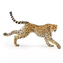 Gepard grzywiasty biegn�cy
