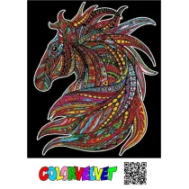 Kolorowanka Welwetowa 47x35 cm Wicher Ko�