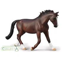 Collecta. Klacz oldenburg. Ma�� kasztanowa