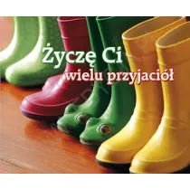 �ycz� Ci wielu przyjaci�. Pere�ka 213