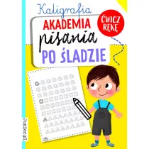 Kaligrafia. Akademia pisania po ladzie