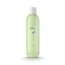 Silcare The Garden of Colour Cleaner pyn do odtuszczania pytki paznokcia Green Apple 1 l