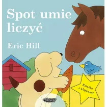 Spot umie liczy