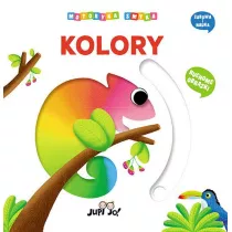 Motoryka smyka. Kolory