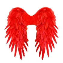 Widmann Czerwone skrzyd�a naturalne pi�ra