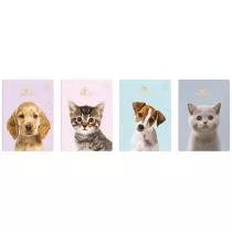 Interdruk Zeszyt A5 Puppy Sign kratka 16 kartek