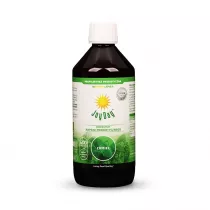 Joy Day Koncentrat napoju probiotycznego chmiel bezglutenowy 500 ml Bio