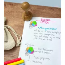 Stempel m�zgoczaszka Colorado