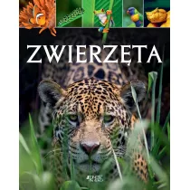 Zwierzta