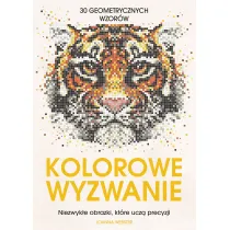 Kolorowe wyzwanie. Niezwyke obrazki, ktre ucz precyzji