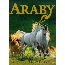 Araby. Dzieci wiatru