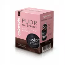 Colorwin Puder do retuszowania siwizny z lusterkiem i aplikatorem Dark Brown 3.2 g