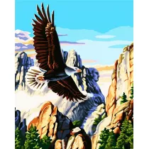 ArtiFly Malowanie po numerach - Orze amerykaski 40x50cm