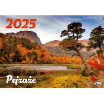 Kalendarz 2025 �cienny Pejza�e