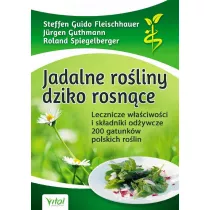 Jadalne roliny dziko rosnce