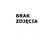Easy Stationery Kalendarz ksikowy 2025 A5 brzowy EASY