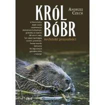 Kr�l b�br. Architekt przysz�o�ci