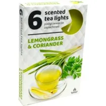 Admit Podgrzewacze Trawa cytrynowa i kolendra / Lemongrass & coriander 6 szt.