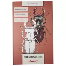 Kolorowanka Owady