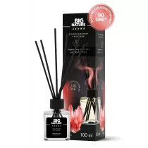 Big Nature Dyfuzor zapachowy inspirowany zapachem Mademoiselle 100 ml