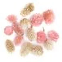 dpCraft Suszone owoce dekoracyjne mix 14 szt.