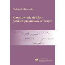 Kszta�towanie si� klasy polskich przyimk�w wt�rnych