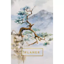 Planer Gry