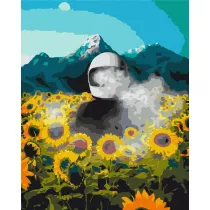 Twoje Hobby Malowanie po numerach - Kosmiczna Ziemia 40x50cm