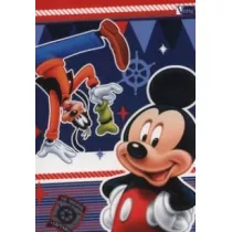 Verte Notes A6 Mickey & Friends