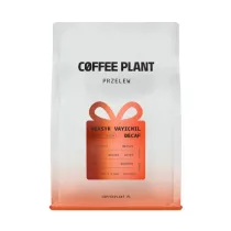 Coffee Plant Bezkofeinowa kawa ziarnista �wi�teczny Meksyk Vayichil Washed Filter 250 g