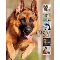 Psy
